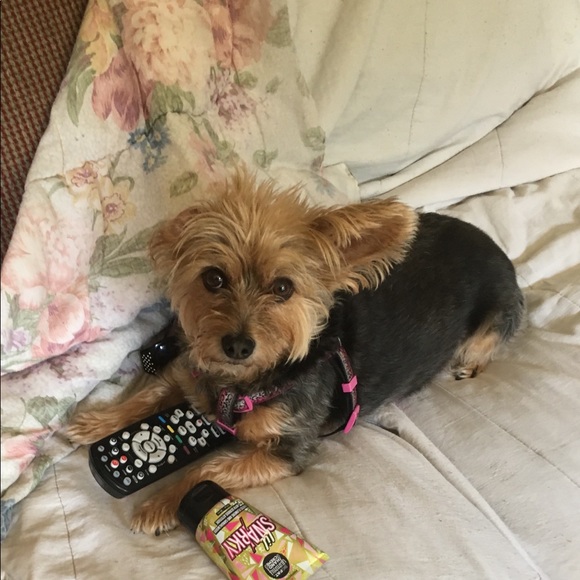 Meet your Posher, Martha - Picture 6 of 8